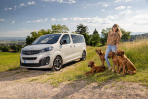 Opel Zafira-e é uma escolha perfeita para todos os elementos da família thumbnail