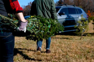 Volkswagen mostra a melhor forma de transportar a árvore de Natal thumbnail