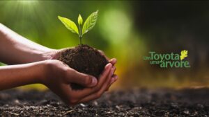 Toyota comemora Dia Mundial da Árvore com os seu clientes thumbnail
